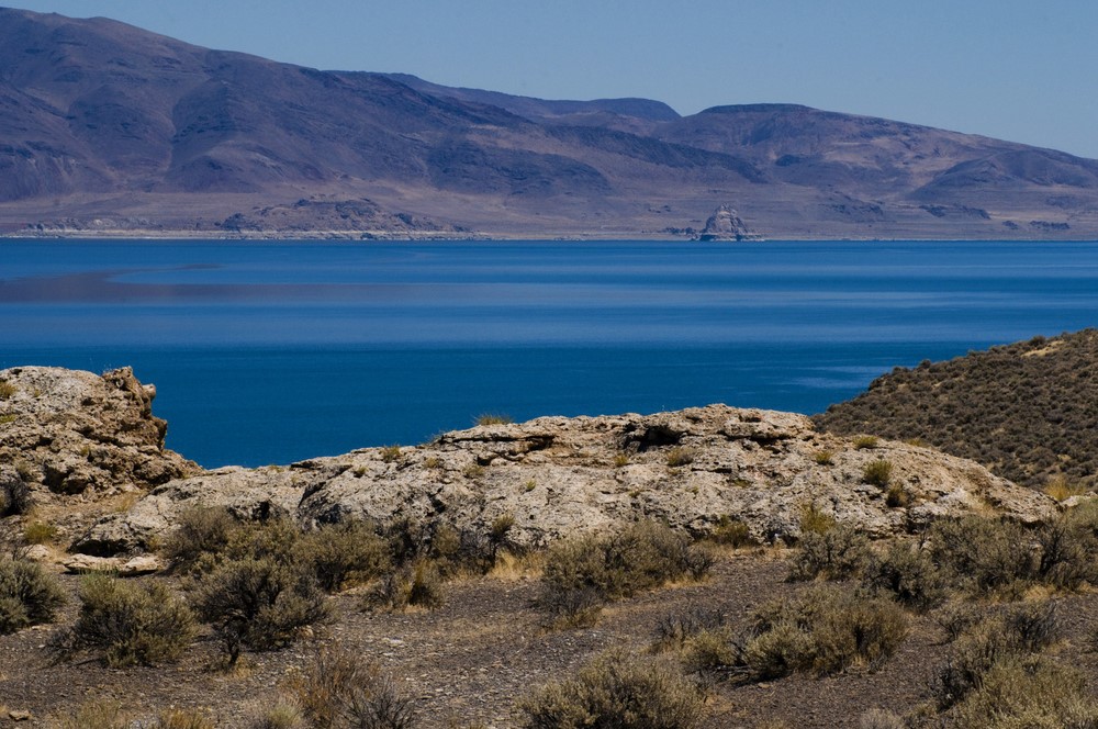 Vicoprofen Rehab ClinicNapa County